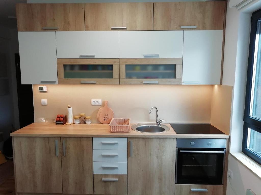 Apartman EXEO Zlatibor – fotografija smeštaja 3