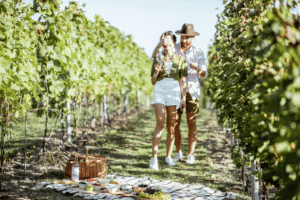 Romantični vikend na Fruškoj gori – vinogradi, šuma i vikendica