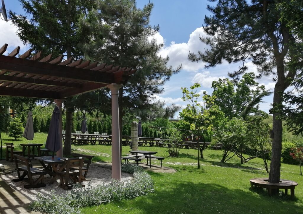 Vila Davidović Fruška gora – mir, domaća kuhinja i odmor u Manđelosu
