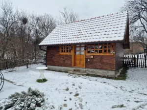 Tesla Studio u Kremni, originalna fotografija enterijera brvnare