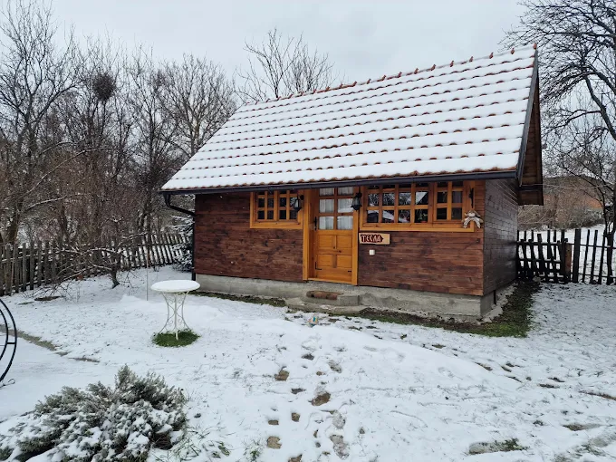 Tesla Studio u Kremni, originalna fotografija enterijera brvnare