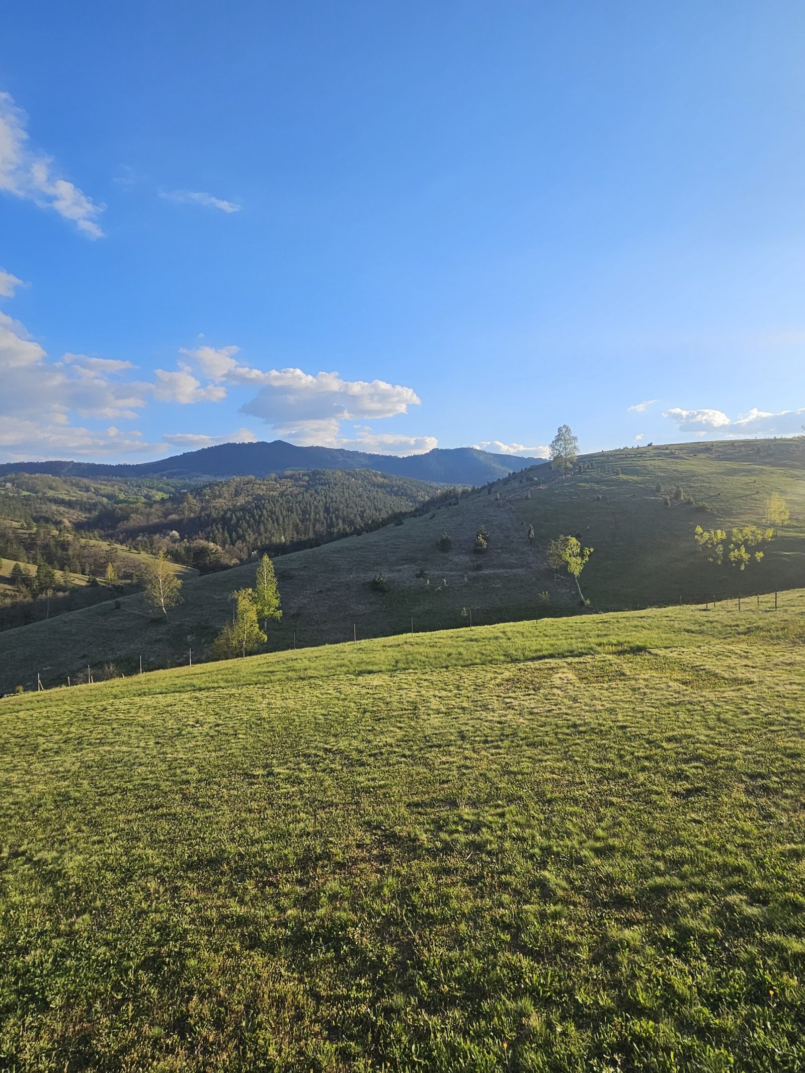Vila DM Zlatibor – fotografija 2