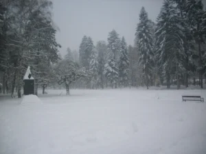 Park u Vrnjačkoj Banji pod snegom zimi