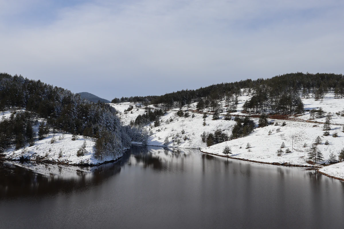Jezero okruženo zasneženim brdima i jelama na Zlatiboru zimi